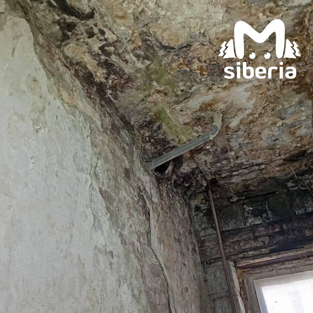 Вот вам реальный ужас из Новосибирска Вот вам реальный ужас из Новосибирска