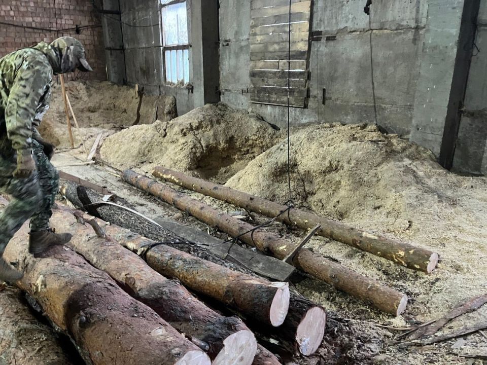 Суд приговорил четверых жителей Мошковского района Новосибирской области к принудительным работам на срок от 3 до 4,5 года за незаконную вырубку леса на 19 млн рублей, сообщили ТАСС в УФСБ по региону