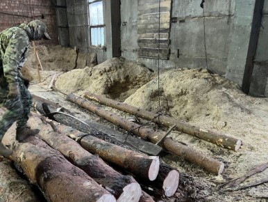 Суд приговорил четверых жителей Мошковского района Новосибирской области к принудительным работам на срок от 3 до 4,5 года за незаконную вырубку леса на 19 млн рублей, сообщили ТАСС в УФСБ по региону