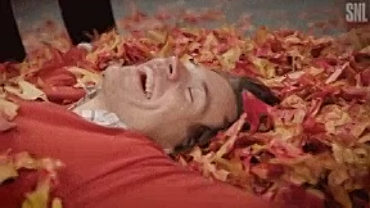 К такому вы точно не были готовы