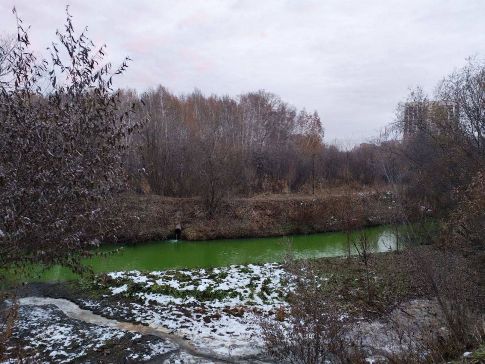 Река Каменка позеленела в Новосибирске