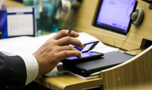 Закон о бродячих животных в Новосибирске приняли в первом чтении