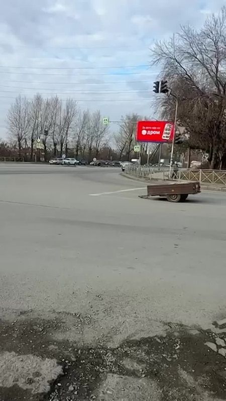 Кто прицеп потерял?. Малыш судорожно искал "маму" и выскочил на Бердское шоссе в Новосибирске