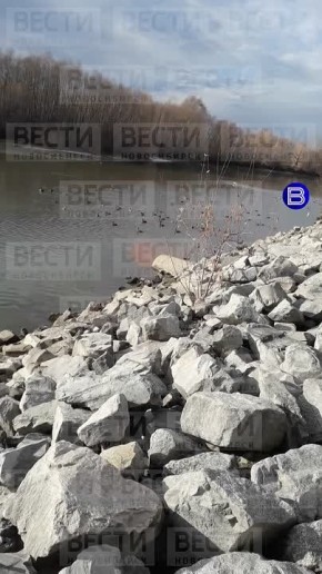 Неизвестная жижа. Слив неустановленной жидкости рыжего цвета обнаружили горожане в Октябрьском районе Новосибирска