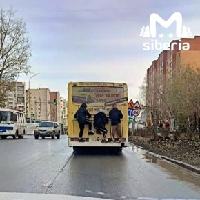 Картина "Маленькие дурачки в Новосибирске"