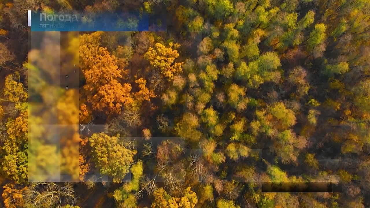 Вести Новосибирск