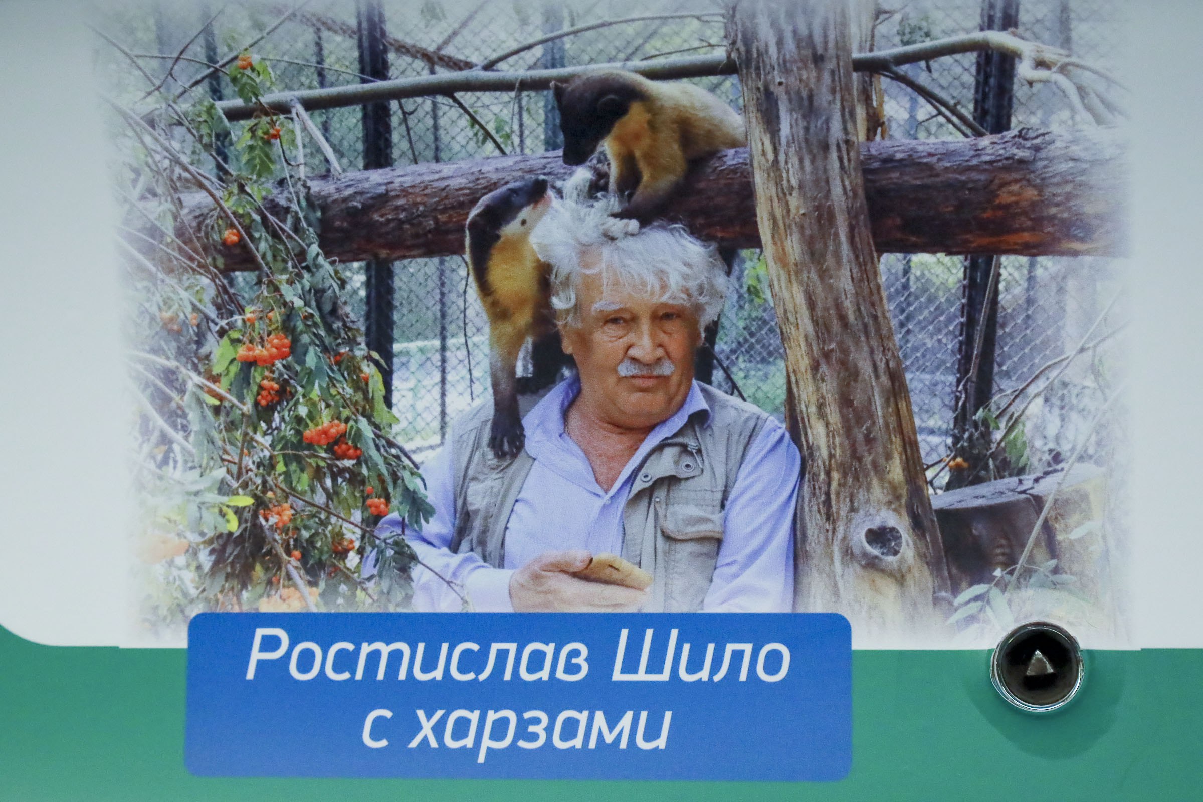 Максим Кудрявцев: В метро запустили вагон с фотовыставкой в честь Ростислава Александровича Шило — Почётного жителя Новосибирска и выдающегося деятеля культуры, который возглавлял Новосибирский зоопарк с 1969 по 2016 годы