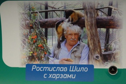 Вагон к 85-летию Ростислава Шило запустили в метро Новосибирска