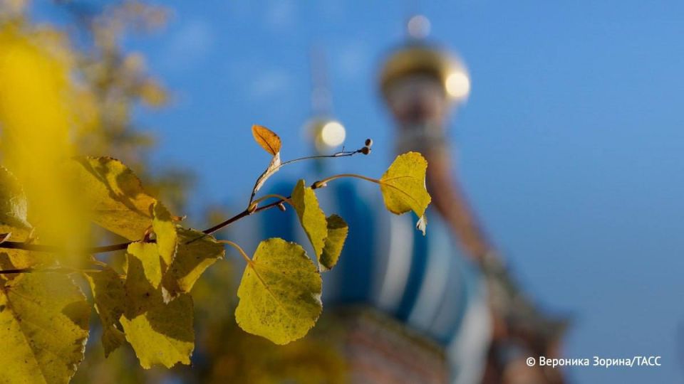      31    12,9 C.    1932    12,8 ,   