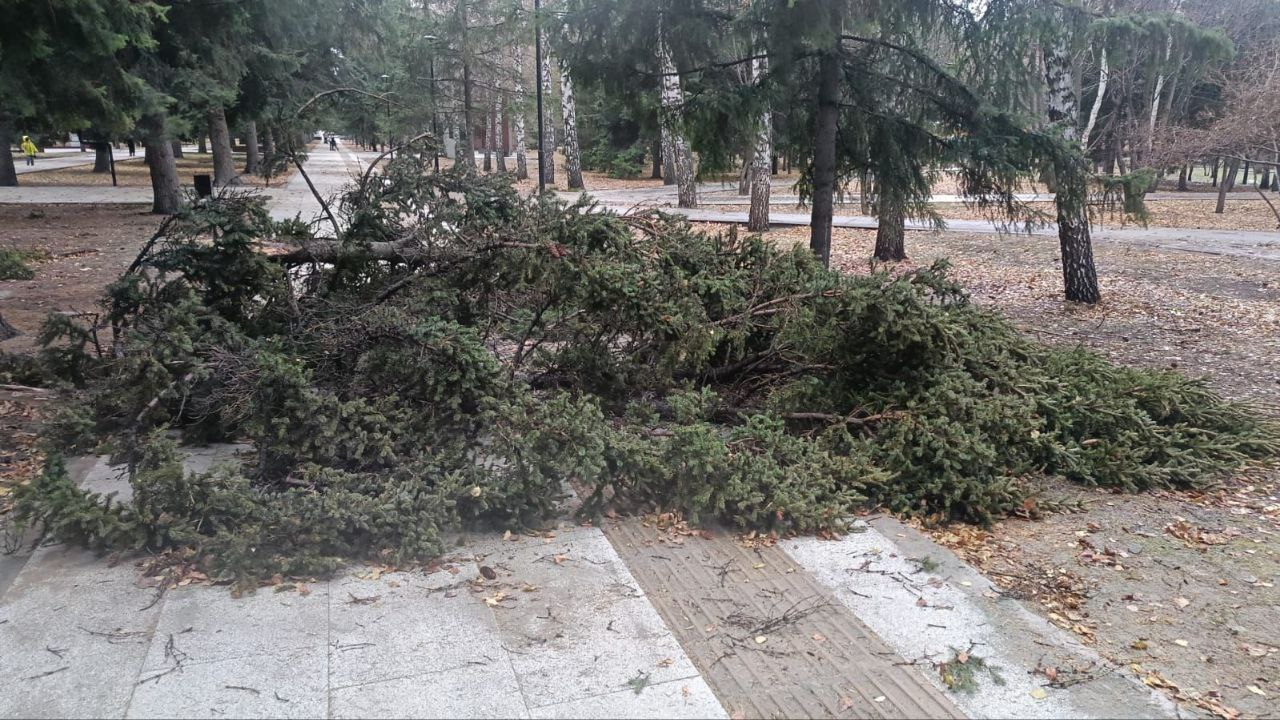 В городе Новосибирске следователи СК устанавливают обстоятельства получения травм пенсионерам