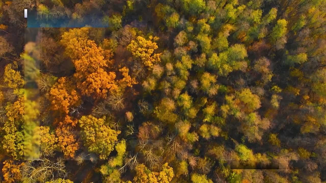 Вести Новосибирск