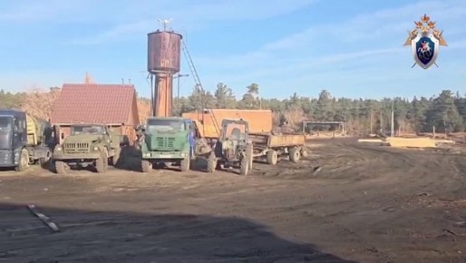 Сотрудники государственных учреждений в сфере лесного хозяйства Новосибирской области обвиняются в получении взяток