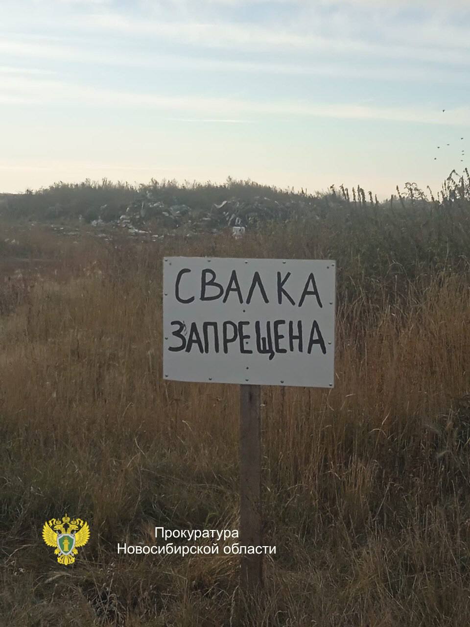 Благодаря принятым мерам прокурорского реагирования ликвидировано 11 несанкционированных свалок