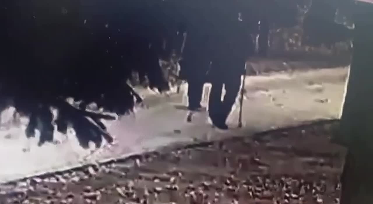 Момент падения дерева на пенсионеров у Монумента Славы в Новосибирске