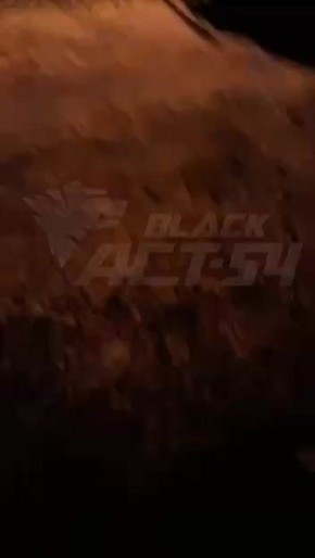 В садовом товариществе «Рябинка» Плотниковского сельсовета произошла стрельба