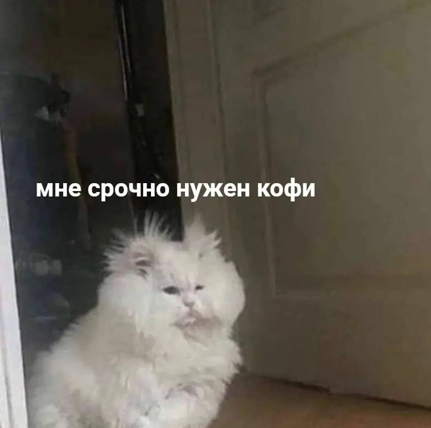 Энергетические ловушки: почему мы чувствуем усталость после кофе и сладкого