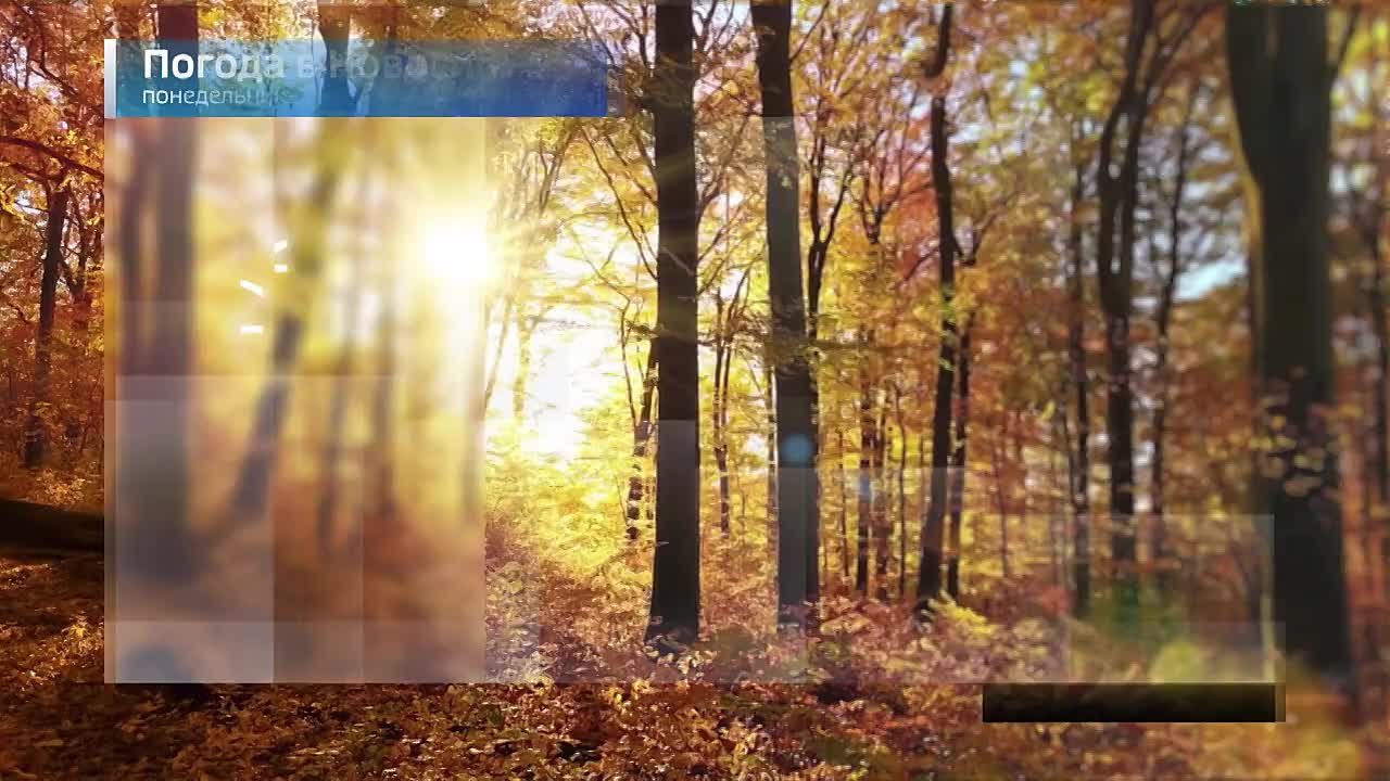 Вести Новосибирск