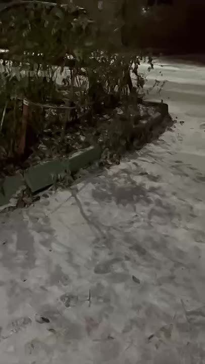 Новосибирск засыпает снегом