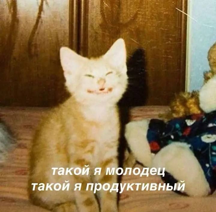 Как наладить режим дня и наконец перестать уставать?