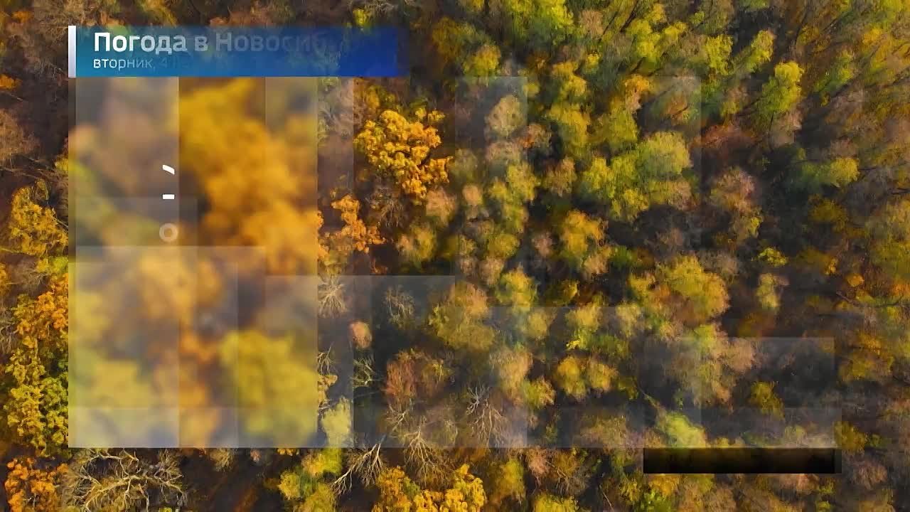 Вести Новосибирск