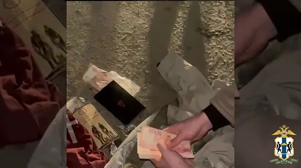 В Новосибирске задержан подозреваемый в мошенничестве