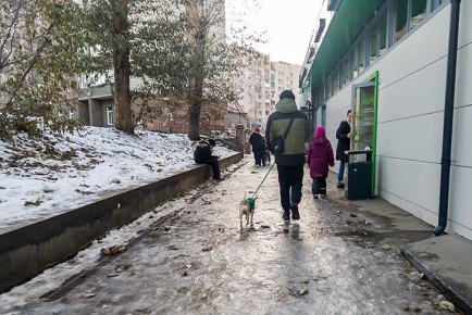 В Новосибирске похолодает до -12 градусов в день Якова Студеного 5 ноября