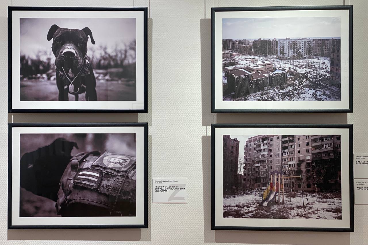 Максим Кудрявцев: В Новосибирском художественном музее открылась фотовыставка «СВОя летопись», где представлены работы Дениса Григорюка, военного фотокорреспондента из Донецка Максим Кудрявцев: В Новосибирском художественном музее открылась фотовыставка «СВОя летопись», где представлены работы Дениса Григорюка, военного фотокорреспондента из Донецка