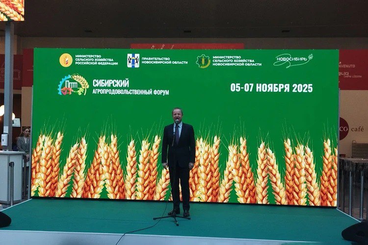 Сибирские аграрии достигли исторических рекордов: названы предварительные результаты по сбору урожая Сибирские аграрии достигли исторических рекордов: названы предварительные результаты по сбору урожая