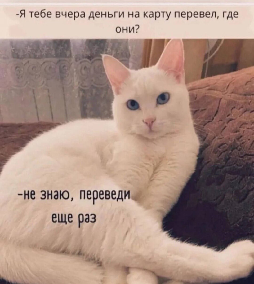 Опасно ли оплачивать товары переводом и за что могут заблокировать карту