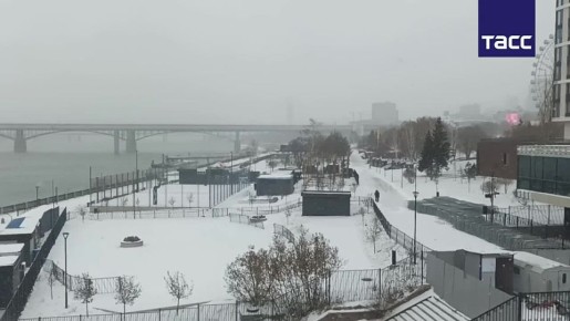 Прибытие девяти авиарейсов задерживается в новосибирском аэропорту Толмачево на фоне сильной метели, следует из данных онлайн-табло