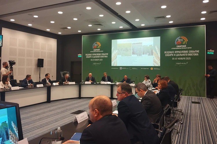 Сибирские аграрии достигли исторических рекордов: названы предварительные результаты по сбору урожая Сибирские аграрии достигли исторических рекордов: названы предварительные результаты по сбору урожая