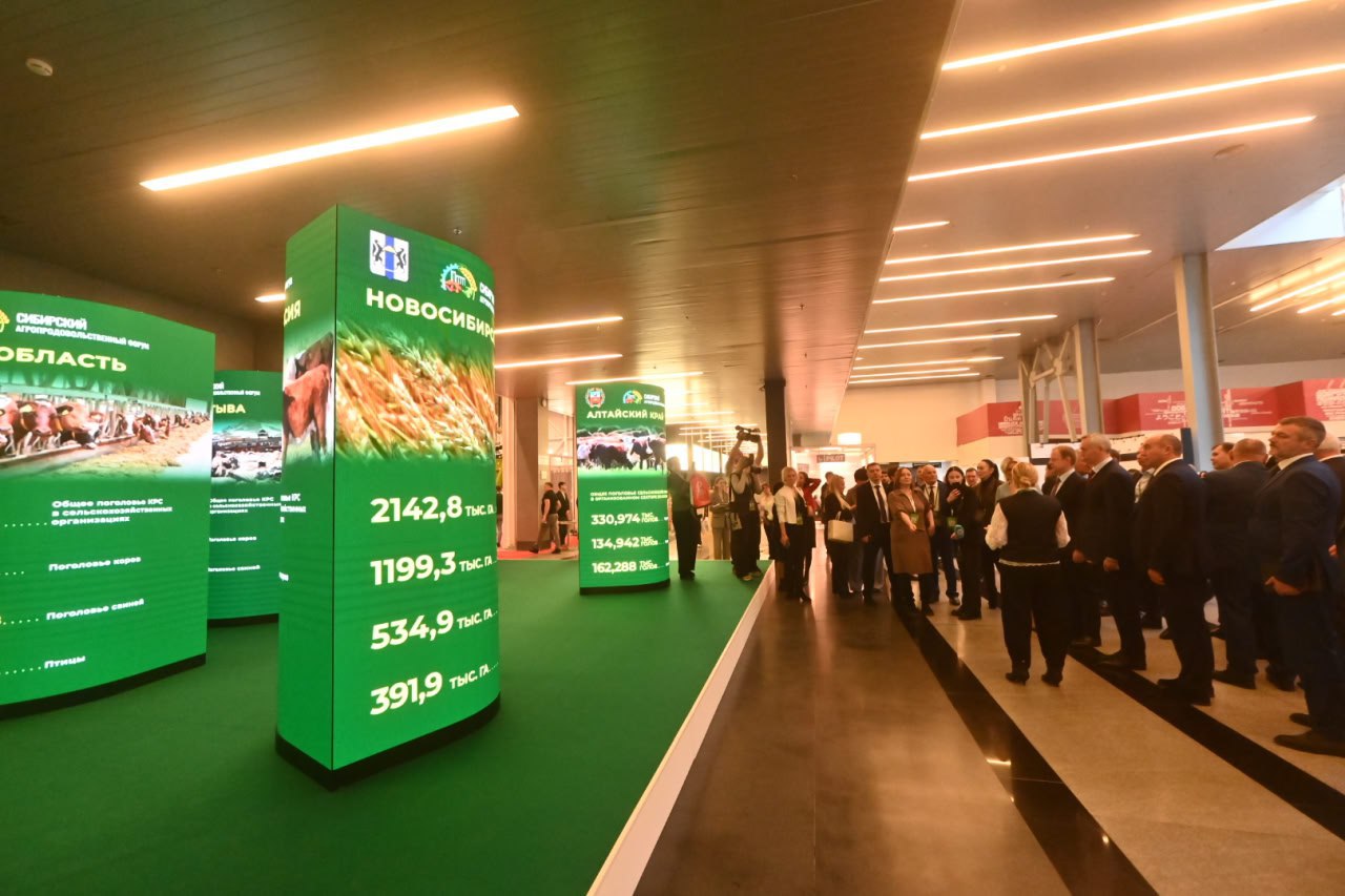 Губернатор Андрей Травников приветствовал участников VIII Агропродовольственного форума «Сибирь – житница России» Губернатор Андрей Травников приветствовал участников VIII Агропродовольственного форума «Сибирь – житница России»