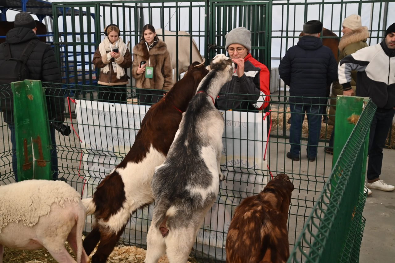 Губернатор Андрей Травников приветствовал участников VIII Агропродовольственного форума «Сибирь – житница России» Губернатор Андрей Травников приветствовал участников VIII Агропродовольственного форума «Сибирь – житница России»