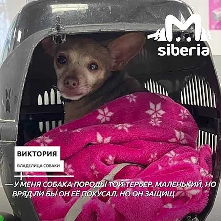 "У неё глаза красные были, и как бы у неё слюни текли