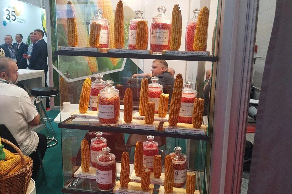 Сибирские аграрии планируют удвоить экспорт к 2030 году!