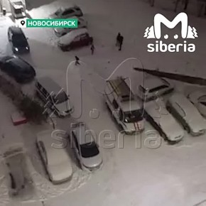 Несколько мужчин загрузили в автозак женщину, которая кидалась вещами из окна дома в Новосибирске