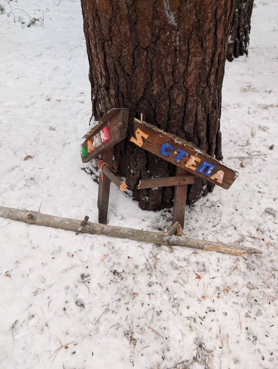 В новосибирском лесу неизвестный ломает кормушки для птиц и белок