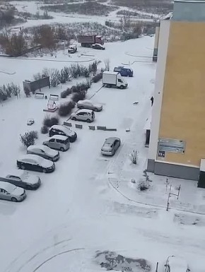 Дикая лиса напала на жительницу Новосибирска прямо во дворе жилого дома