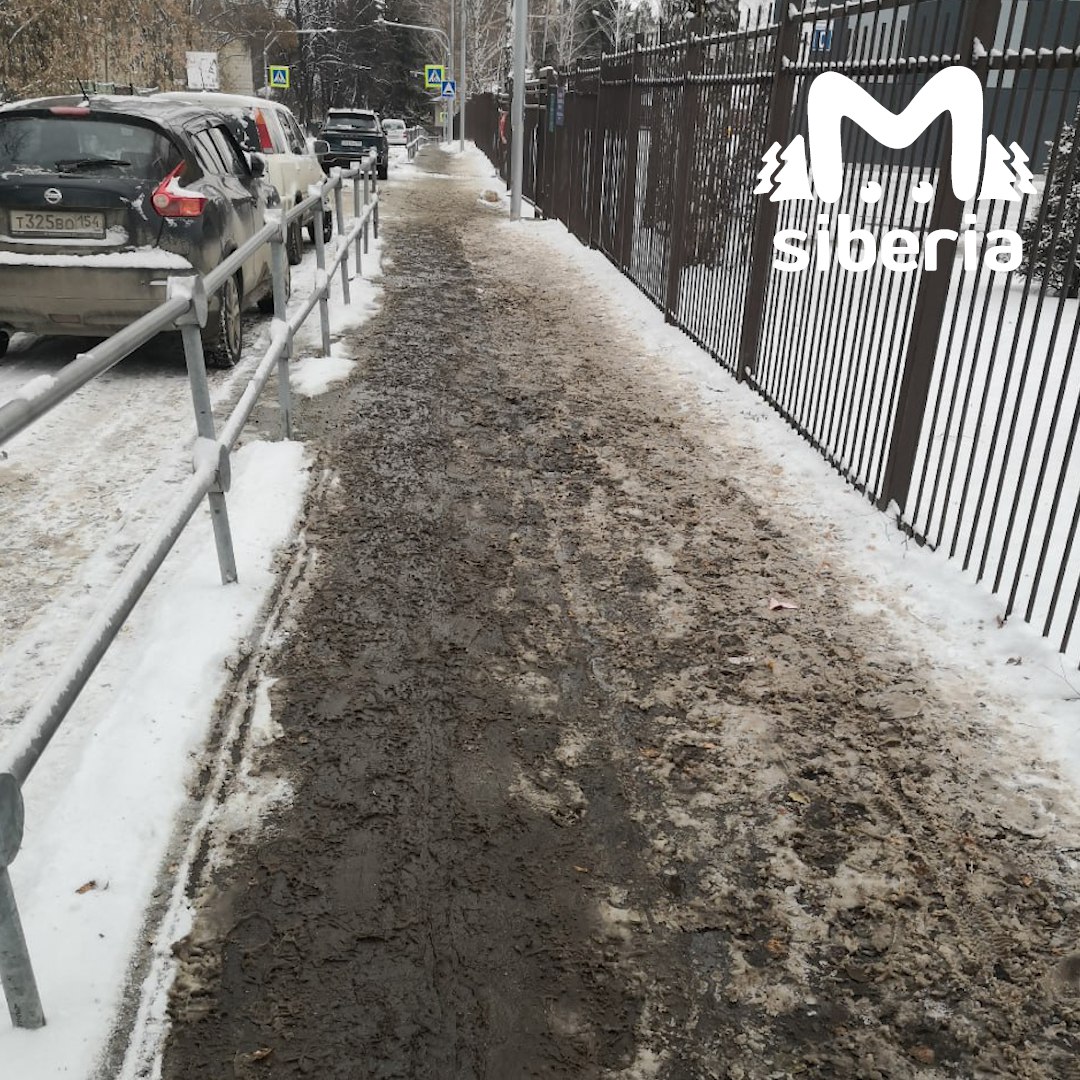 Смесью, превратившей снег в грязную жижу, засыпали тротуар в новосибирском Академгородке