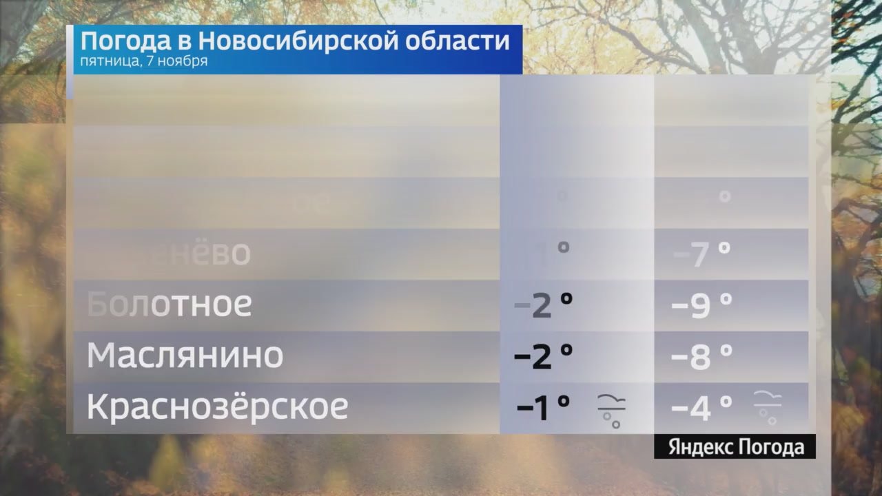 Вести Новосибирск
