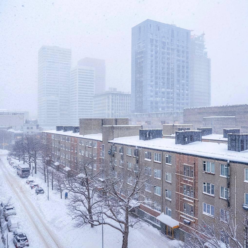 Новосибирск замело. Из-за снега троллейбус развернуло прямо на дороге, а на трассах — заносы и аварии Новосибирск замело. Из-за снега троллейбус развернуло прямо на дороге, а на трассах — заносы и аварии