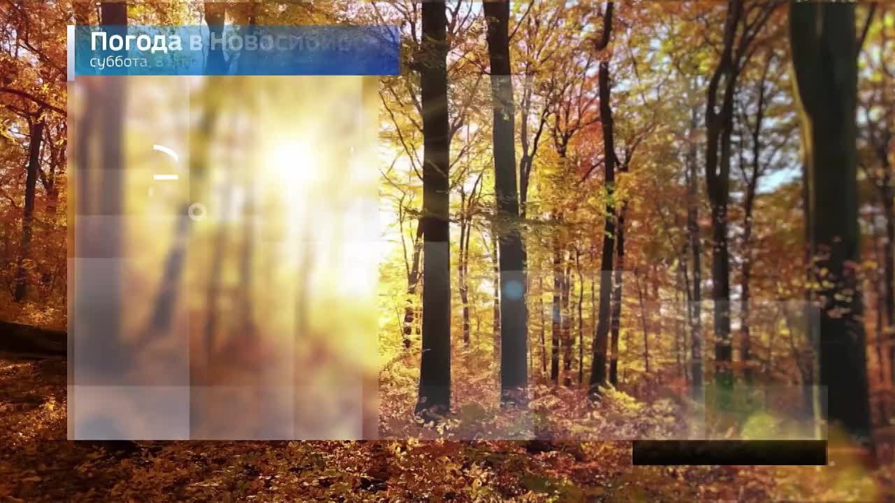 Вести Новосибирск