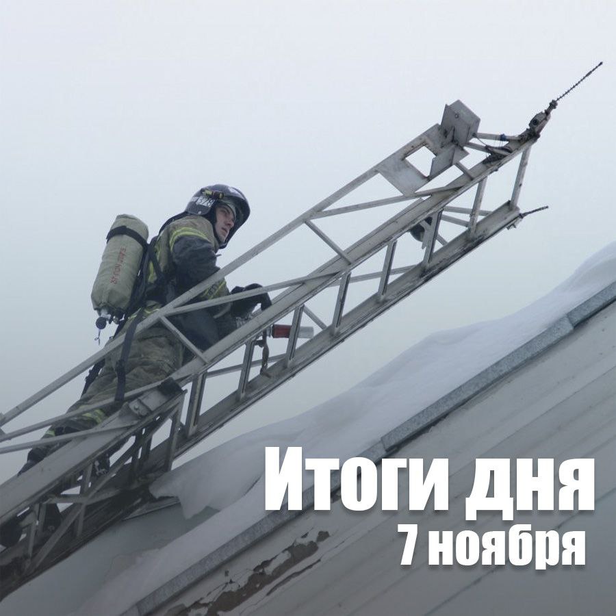 За сутки в Новосибирской области: