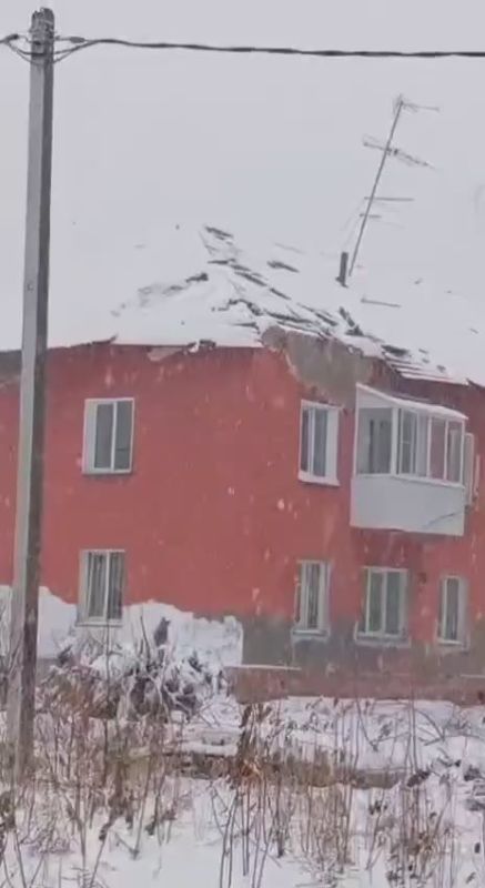 Дерево пробило крышу дома в Новосибирске
