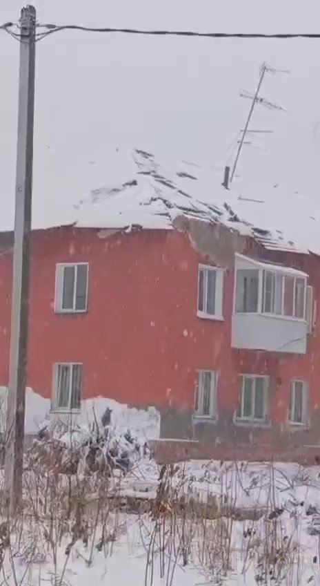 Дерево пробило крышу дома в Новосибирске