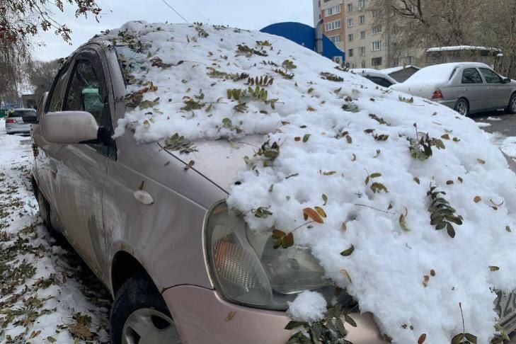 Похолодание до -20 градусов надвигается на Новосибирскую область