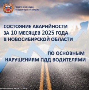 Госавтоинспекция Новосибирской области подвела итоги: Аварийность 10 месяцев 2025 года по основным нарушениям ПДД водителями