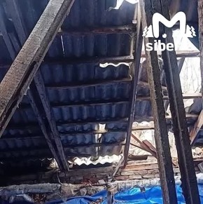 Дерево пробило крышу двухэтажки в Новосибирске