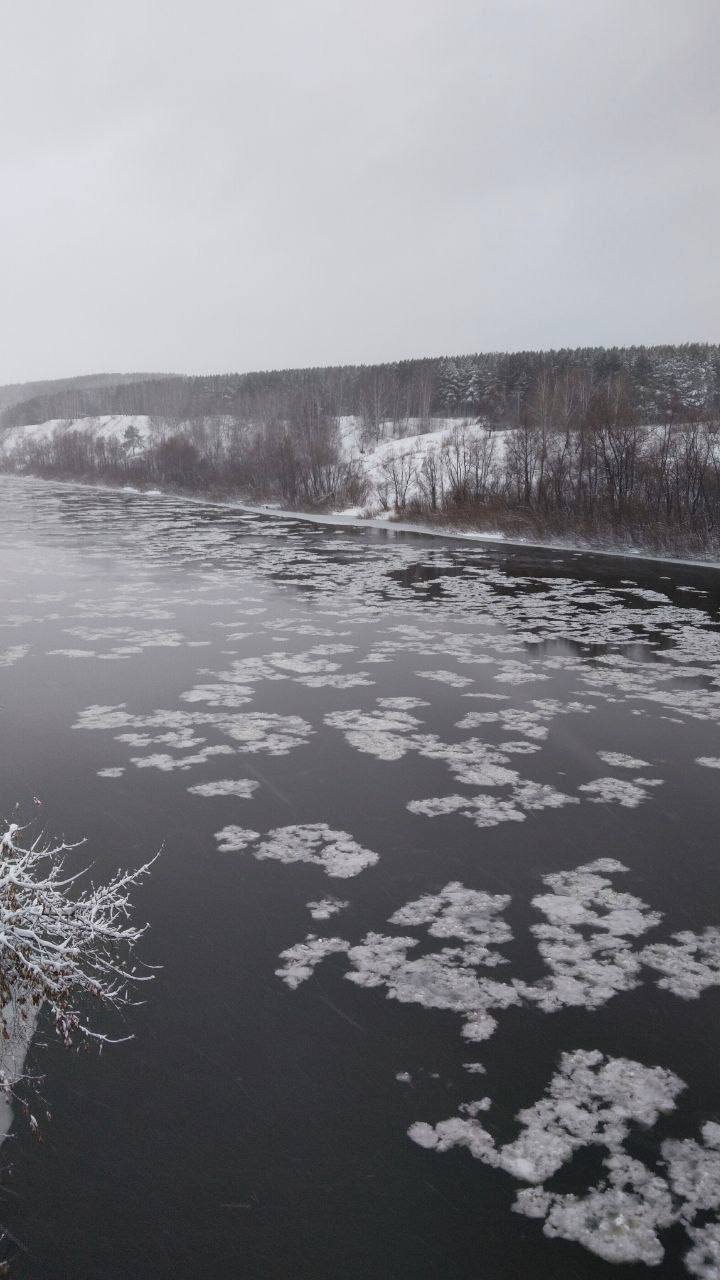 Снежуру заметили на реке Иня в Новосибирске Снежуру заметили на реке Иня в Новосибирске