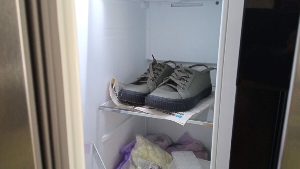 Секреты заморозки: как холодильник может стать помощником в борьбе с запахом и аллергенами